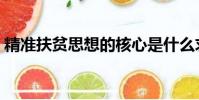 精準扶貧思想的核心是什么求答案(求答案)
