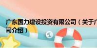 廣東國力建設投資有限公司(關于廣東國力建設投資有限公司介紹)