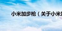 小米加步槍(關于小米加步槍簡介)