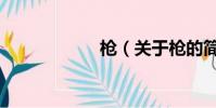 槍(關于槍的簡介)