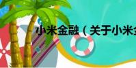 小米金融(關于小米金融簡介)