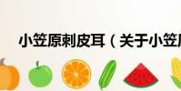 小笠原刺皮耳(關于小笠原刺皮耳簡介)