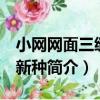 小網網面三縫孢 新種（關于小網網面三縫孢 新種簡介）