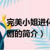 完美小姐進化論日劇（關于完美小姐進化論日劇的簡介）