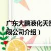 廣東大鵬液化天然氣有限公司（關于廣東大鵬液化天然氣有限公司介紹）