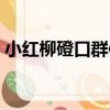 小紅柳磴口群體（關于小紅柳磴口群體簡介）