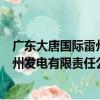 廣東大唐國際雷州發電有限責任公司（關于廣東大唐國際雷州發電有限責任公司介紹）