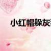 小紅帽躲灰狼（關于小紅帽躲灰狼簡介）