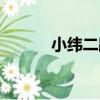 小緯二路（關于小緯二路簡介）