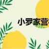 小羅家營村（關于小羅家營村簡介）
