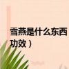 雪燕是什么東西 有什么功效貴嗎（雪燕是什么東西 有什么功效）