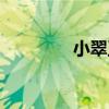 小翠玉（關于小翠玉簡介）