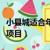 小縣城適合年輕人創業項目（適合年輕人創業項目）