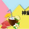 神童（關于神童的簡介）