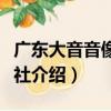 廣東大音音像出版社（關于廣東大音音像出版社介紹）