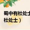 蜀中有杜處士好書畫的好是什么意思（蜀中有杜處士）