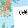 小美狐（關于小美狐簡介）