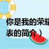 你是我的榮耀演員表（關于你是我的榮耀演員表的簡介）