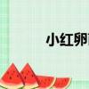 小紅卵菌（關于小紅卵菌簡介）