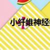 小纖維神經病（關于小纖維神經病簡介）