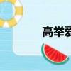 高舉愛（關于高舉愛的簡介）