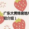 廣東大黃蜂房地產有限公司（關于廣東大黃蜂房地產有限公司介紹）