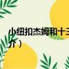 小紐扣杰姆和十三個海盜（關于小紐扣杰姆和十三個海盜簡介）