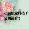 小翼航空科技 廣州有限公司（關于小翼航空科技 廣州有限公司簡介）