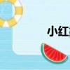 小紅象（關于小紅象簡介）
