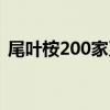 尾葉桉200家系（關于尾葉桉200家系簡介）