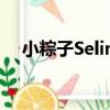 小粽子Selina（關于小粽子Selina簡介）