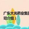 廣東大光藥業集團有限公司（關于廣東大光藥業集團有限公司介紹）