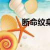 斷命紋身（關于斷命紋身的簡介）