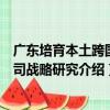 廣東培育本土跨國公司戰略研究（關于廣東培育本土跨國公司戰略研究介紹）