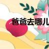爸爸去哪兒 （關于爸爸去哪兒 的簡介）