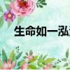 生命如一泓清水原文（生命如一泓清水）