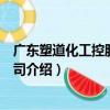 廣東塑道化工控股有限公司（關于廣東塑道化工控股有限公司介紹）