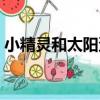 小精靈和太陽蛋（關于小精靈和太陽蛋簡介）