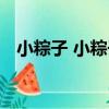 小粽子 小粽子（關于小粽子 小粽子簡介）