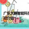 廣東大鵬智能科技有限公司（關于廣東大鵬智能科技有限公司介紹）