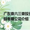 廣東壹六三壹投資控股有限公司（關于廣東壹六三壹投資控股有限公司介紹）