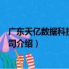 廣東天億數據科技有限公司（關于廣東天億數據科技有限公司介紹）