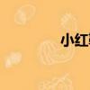 小紅鞋（關于小紅鞋簡介）
