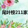 尾葉桉211家系（關于尾葉桉211家系簡介）
