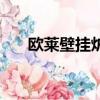 歐萊壁掛爐質量怎么樣（歐萊壁掛爐）
