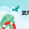 武力（關于武力的簡介）