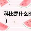 科比是什么時候逝世的（科比什么時候去世的）