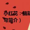 小紅花：腦筋急轉彎（關于小紅花：腦筋急轉彎簡介）