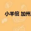 小羊倌 加州店（關于小羊倌 加州店簡介）