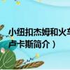 小紐扣杰姆和火車司機盧卡斯（關于小紐扣杰姆和火車司機盧卡斯簡介）